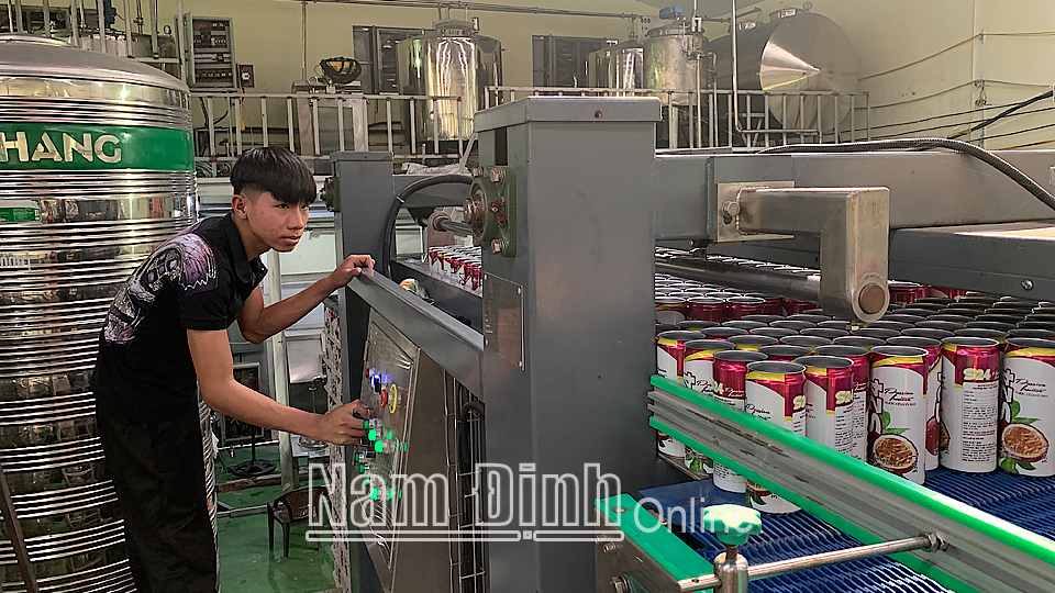 Công ty TNHH một thành viên Sản xuất thương mại vận tải Minh Hằng, xã Quang Trung (Vụ Bản) sản xuất sản phẩm trà tươi hương chanh mật ong S24.
