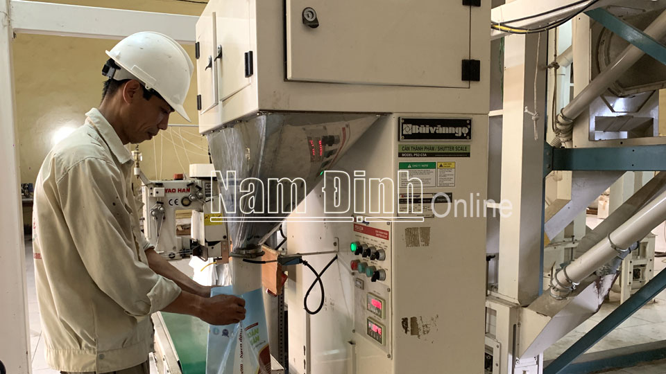 Sản xuất gạo chất lượng cao tại Công ty TNHH Toản Xuân (Ý Yên).