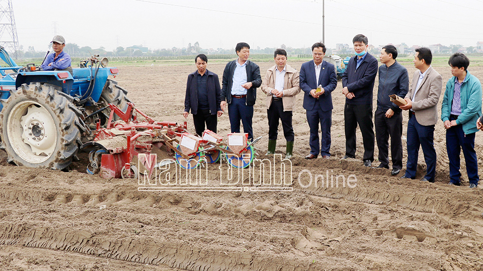 Lãnh đạo huyện Vụ Bản kiểm tra mô hình tích tụ ruộng đất, trồng lạc bằng máy tại xã Liên Bảo.