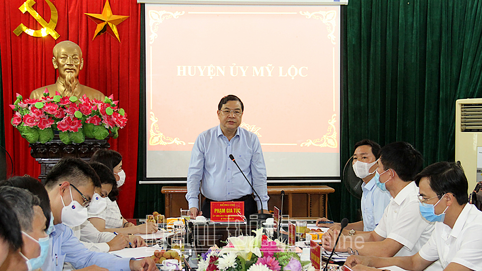 Đồng chí Phạm Gia Túc, Ủy viên BCH Trung ương Đảng, Bí thư Tỉnh ủy phát biểu tại buổi làm việc. 