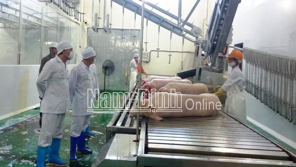 Chế biến thịt lợn xuất khẩu tại Công ty Trách nhiệm hữu hạn Đầu tư và Thương mại Biển Đông (Hải Hậu).