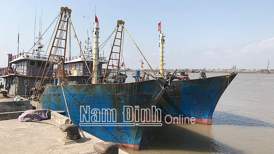 Tàu cá vỏ thép được trang bị công nghệ hiện đại neo đậu tại cảng cá Ninh Cơ (Hải Hậu).
