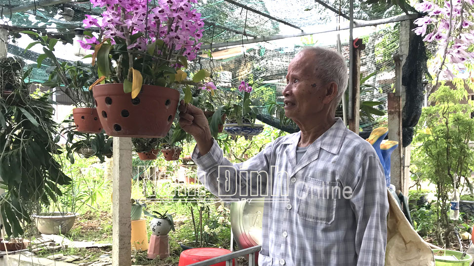 Ông Trần Tất Xương, đảng viên 70 năm tuổi Đảng ở thôn Cư Nhân đã hiến 120m2 đất vườn và đất ao để làm đường giao thông liên xã.
