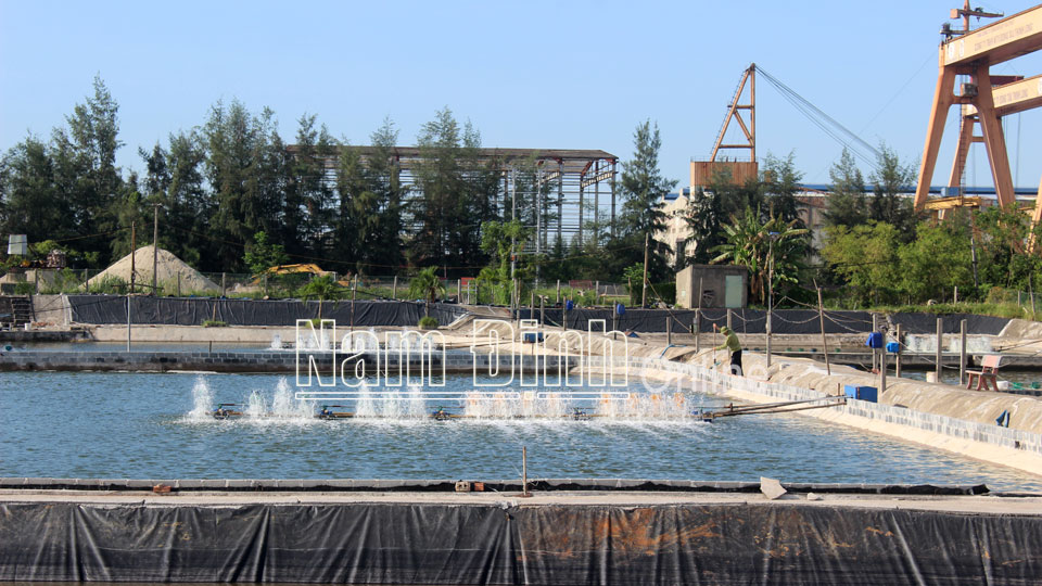 Nông dân thị trấn Thịnh Long (Hải Hậu) kiểm tra chất lượng nguồn nước ao nuôi thủy sản.