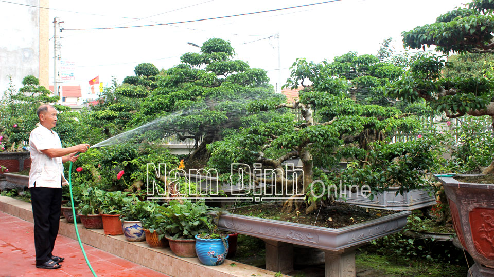 Nhân dân xã Xuân Hòa thường xuyên chỉnh trang khuôn viên gia đình xanh - sạch - đẹp.  Bài và ảnh: Lam Hồng