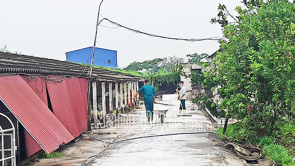Trang trại của anh Nguyễn Văn Cường, xã Hải Đông (Hải Hậu) thường xuyên tiêu độc khử trùng lối đi lại, góp phần ngăn chặn dịch bệnh xâm nhập.