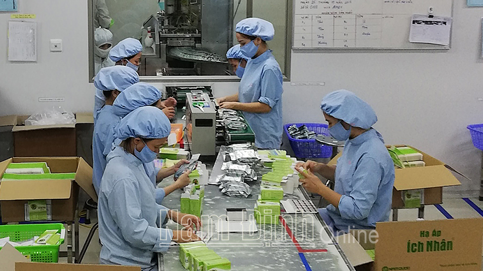 Sản xuất thuốc Nam tại Công ty TNHH Nam Dược, thành phố Nam Định.