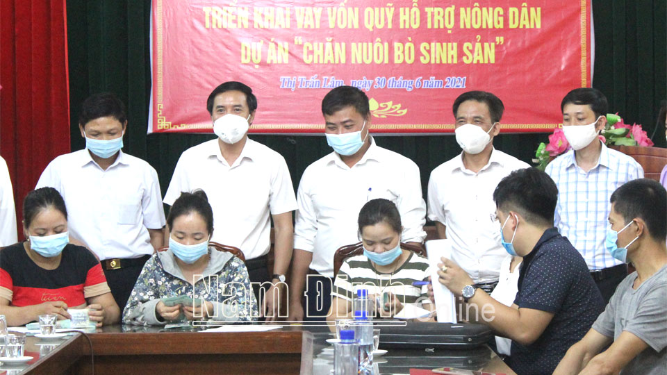 Thành viên tổ hợp tác chăn nuôi bò sinh sản thị trấn Lâm (Ý Yên) được hỗ trợ vay vốn từ nguồn Quỹ Hỗ trợ nông dân của Trung ương HND Việt Nam.