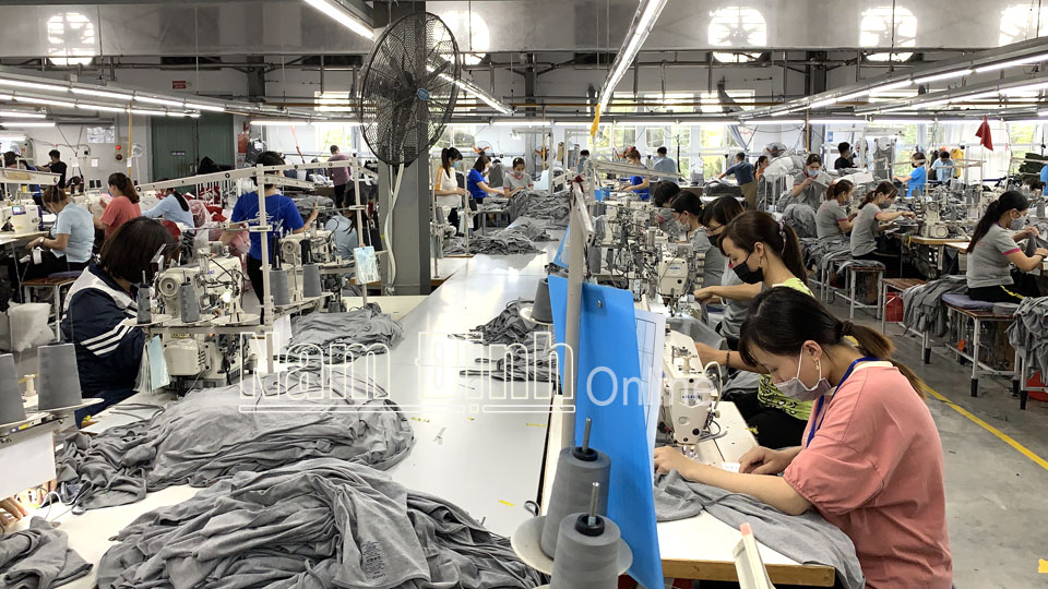 Sản xuất hàng dệt may xuất khẩu tại Chi nhánh Sông Hồng Nghĩa Hưng (Công ty cổ phần May Sông Hồng).  Bài và ảnh: Thanh Thúy