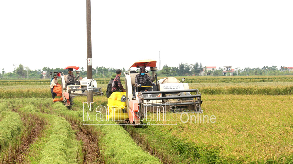 Cơ giới hóa thúc đẩy sản xuất nông nghiệp hàng hóa tại xã Trực Thái (Trực Ninh).