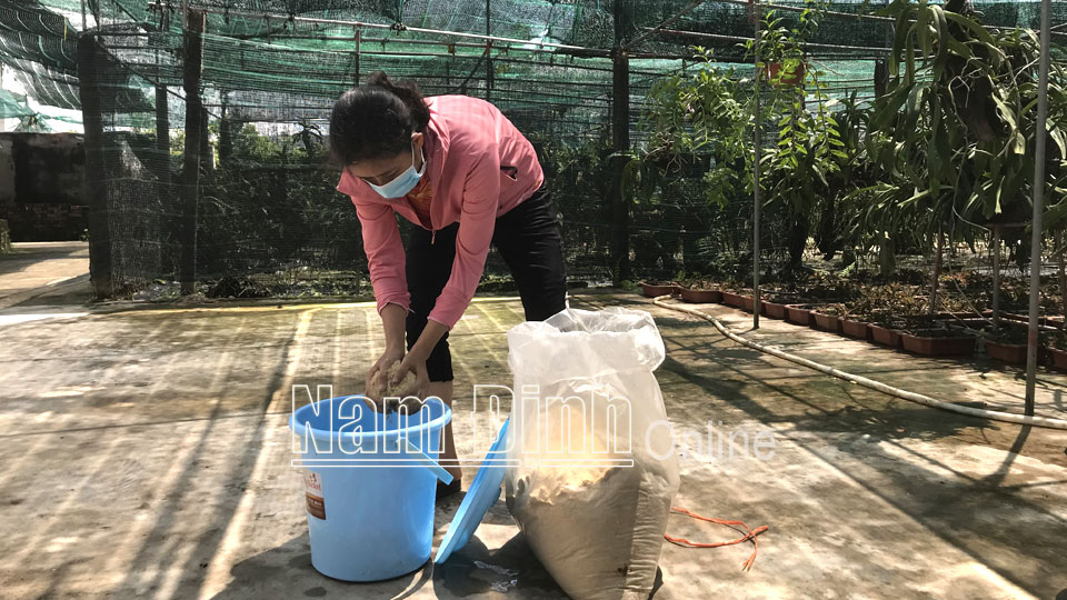 Chị Phạm Thị Phương Liên, Bí thư Đoàn xã Nam Toàn trình diễn mô hình sử dụng men vi sinh IMO để xử lý rác hữu cơ.