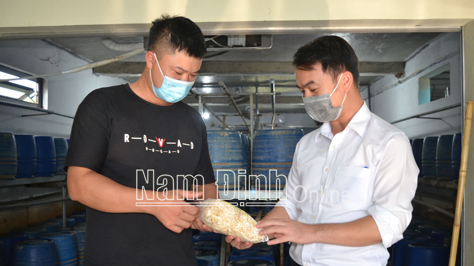 Cán bộ tín dụng Agribank Chi nhánh Bắc Nam Định thăm cơ sở sản xuất nông sản sạch Vương Anh tại xóm Đoài, phường Mỹ Xá (thành phố Nam Định).