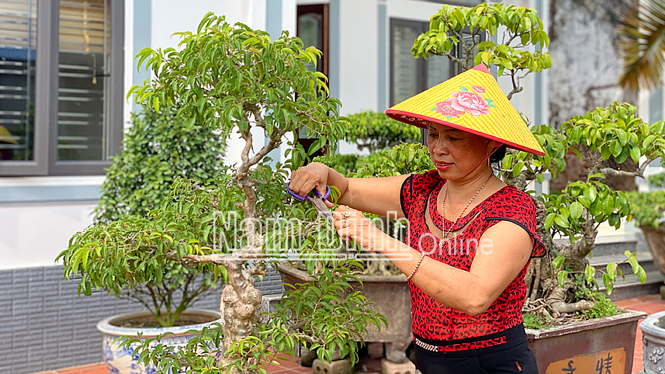 Chị Nguyễn Thị Mai Luyên, Giám đốc Công ty TNHH Sinh vật cảnh Ngọc Mai, xóm Hoàng Thụ, xã Điền Xá (Nam Trực) tạo dáng cây thế.