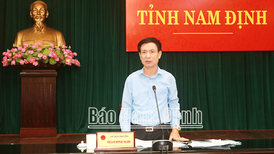 Đồng chí Phạm Đình Nghị, Phó Bí thư Tỉnh ủy, Chủ tịch UBND tỉnh phát biểu chỉ đạo tại hội nghị.