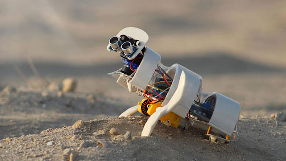A'seedbot - robot tự động gieo hạt giống trên sa mạc. (Ảnh: Global Grad Show)