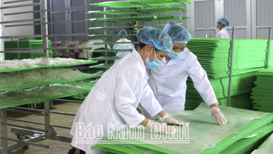 Đồng bào Công giáo xã Xuân Tiến (Xuân Trường) phát triển nghề làm bánh đa truyền thống.