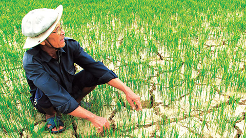 Việt Nam là một trong những quốc gia chịu nhiều tác động nhất của biến đổi khí hậu.