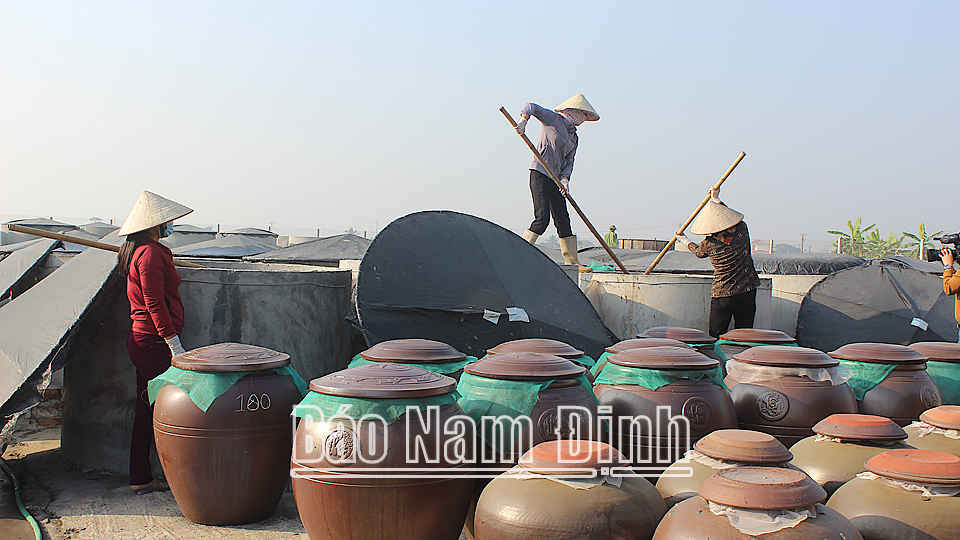 Sản xuất nước mắm truyền thống tại gia đình anh Nguyễn Đức Duy, Chủ nhiệm HTX nông nghiệp và thủy sản Hải Hậu.