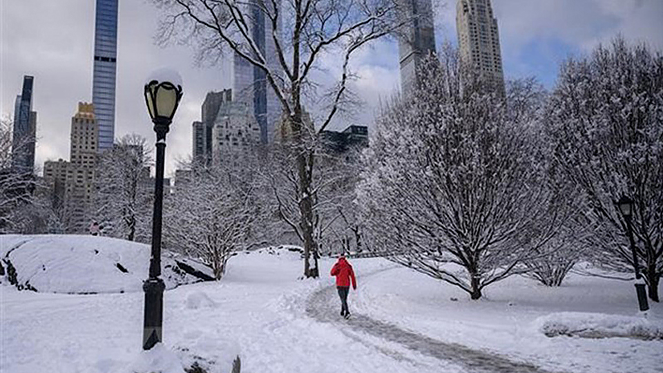 Tuyết phủ trắng tại New York, Mỹ, ngày 7/1. (Ảnh minh họa: AFP/TTXVN)