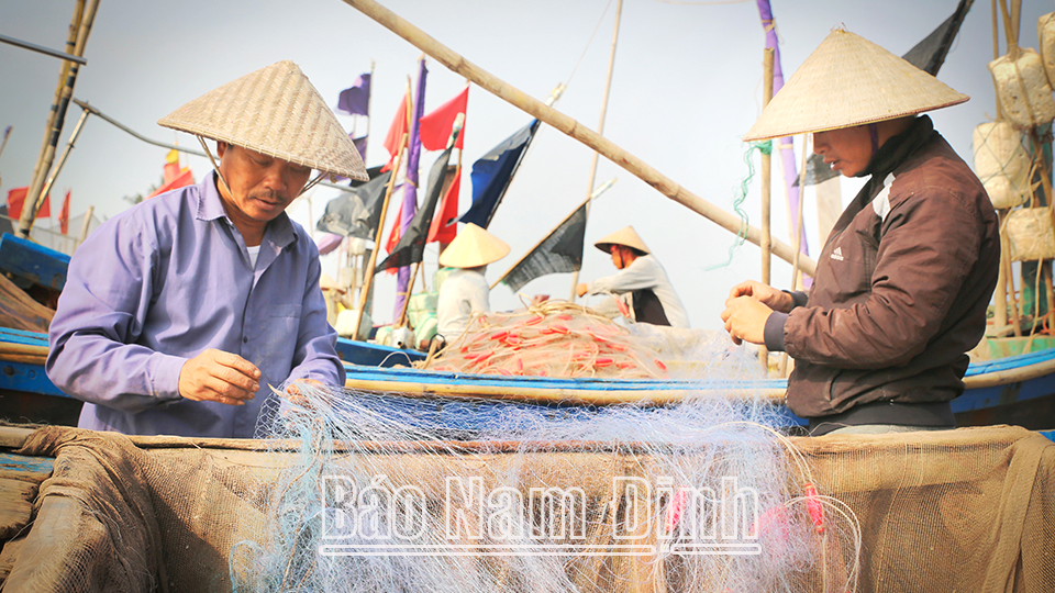 Ngư dân xã Hải Triều chuẩn bị ngư cụ ra khơi.  Bài và ảnh: Viết Dư