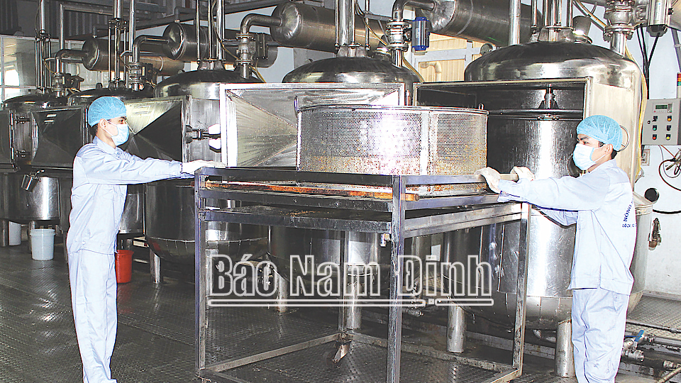 Dây chuyền chế biến nông sản hiện đại của Công ty TNHH một thành viên Minh Dương, thành phố Nam Định .