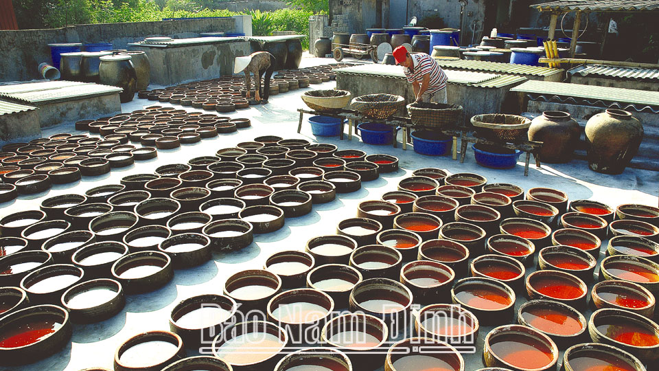 Sản xuất tại làng nghề nước mắm Sa Châu, xã Giao Châu (Giao Thủy).  ảnh: Chu Thế vĩnh