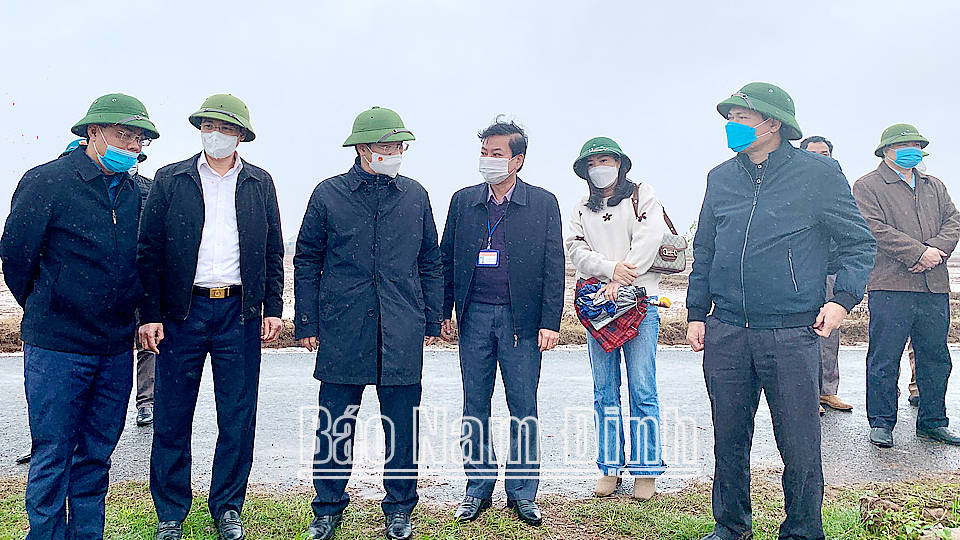 Đồng chí Trần Anh Dũng, Ủy viên Ban TVTU, Phó Chủ tịch Thường trực UBND tỉnh kiểm tra gieo cấy lúa xuân tại xã Giao Tiến (Giao Thủy).