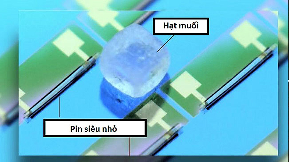 Kích thước của pin siêu nhỏ chưa bằng một hạt muối. (Ảnh: Đại học Kỹ thuật Chemnitz)