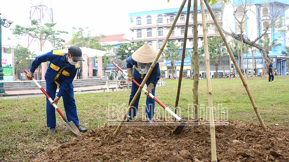 Công nhân Công ty Cổ phần Công trình đô thị Nam Định trồng, chăm sóc cây xanh tại khu vực Giàn Leo, thành phố Nam Định 