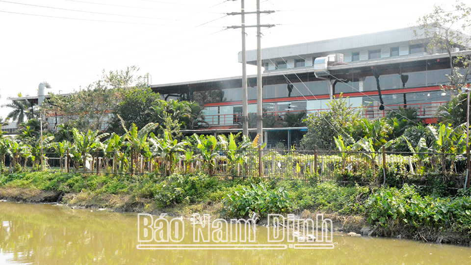 Công ty MaxPost Limited (thành phố Nam Định) xây dựng nhà bảo vệ, hệ thống tường bao, trồng cây xanh trên toàn bộ hành lang bảo vệ công trình thủy lợi T3.