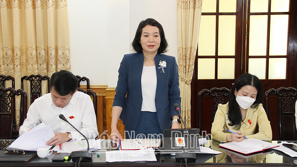 Đồng chí Mai Thị Phương Hoa, Phó Chủ nhiệm Ủy ban Tư pháp của Quốc hội phát biểu tại buổi giám sát tại UBND tỉnh.