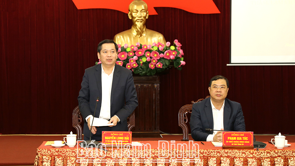 Đồng chí Nguyễn Long Hải, Ủy viên dự khuyết BCH Trung ương Đảng, Bí thư Đảng ủy Khối Doanh nghiệp Trung ương phát biểu tại buổi làm việc.