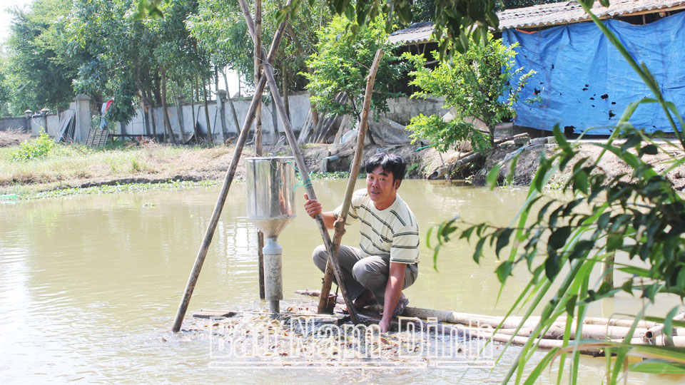 Nông dân xã Yên Phương phát triển mô hình nuôi cá chạch sụn.  Bài và ảnh: Lam Hồng