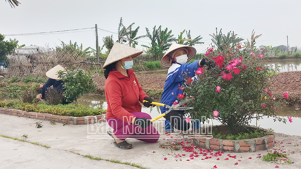Hội viên phụ nữ xã Hải Thanh chăm sóc tuyến đường hoa, làm đẹp cảnh quan môi trường.