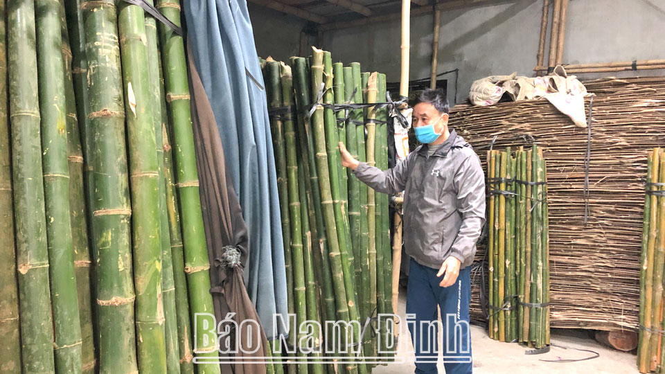 Hội viên Nguyễn Văn Tuyên, thị trấn Mỹ Lộc kinh doanh các mặt hàng luồng, cọc tre, phên nứa… có thu nhập ổn định.