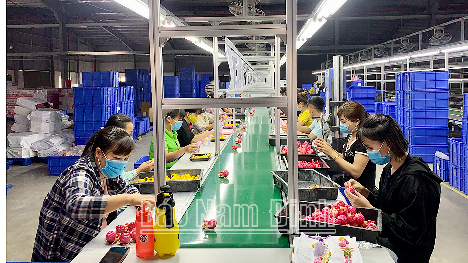 Sản xuất đồ chơi trẻ em xuất khẩu tại Công ty TNHH Quốc tế KAM FUNG Việt Nam (Giao Thủy).