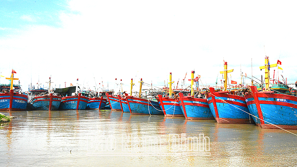 Tàu, thuyền của ngư dân neo đậu an toàn tại cảng cá Ninh Cơ (Hải Hậu) khi có bão, áp thấp nhiệt đới xảy ra.