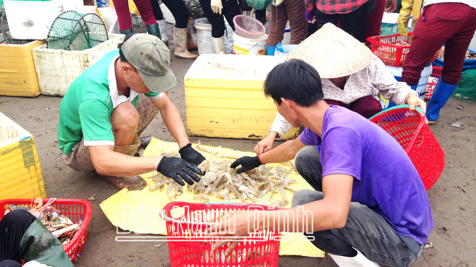 Người dân đang mua, bán hải sản tại bến cá Giao Hải.