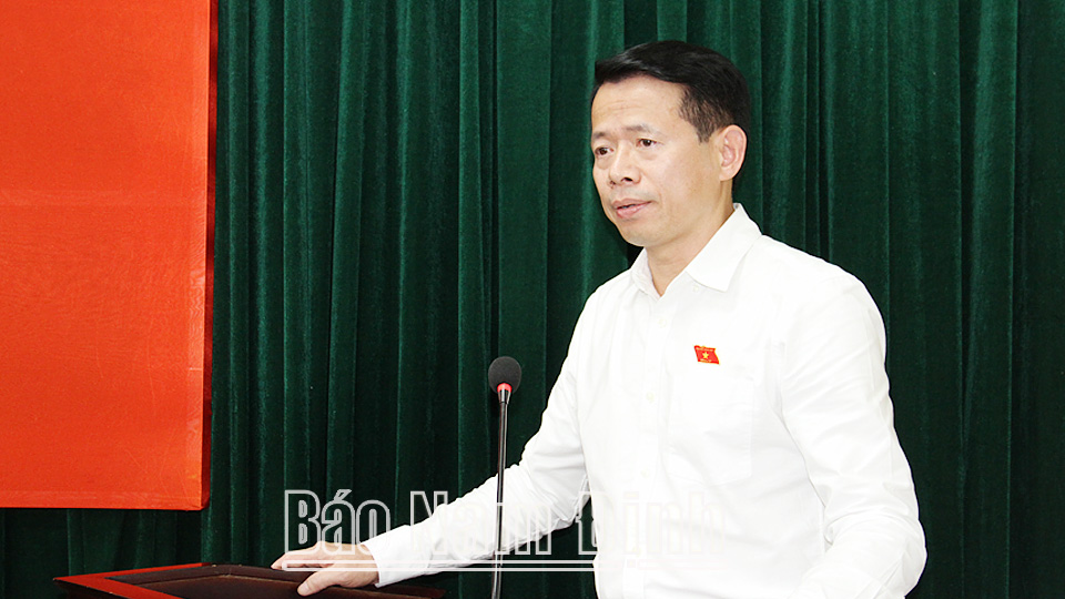 Đồng chí Nguyễn Hải Dũng, TUV, Phó trưởng đoàn chuyên trách Đoàn ĐBQH tỉnh phát biểu tại hội nghị.