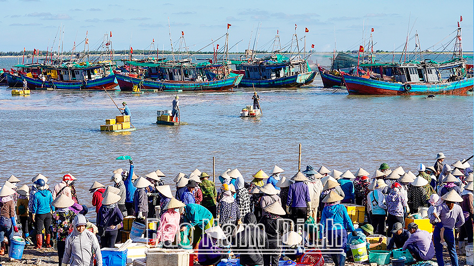 Cầu Thịnh Long vượt sông Ninh Cơ giúp gia tăng tính liên thông, kết nối giao thương, thúc đẩy phát triển kinh tế - xã hội cho vùng kinh tế biển của tỉnh (ảnh to); Bến cá Giao Hải (Giao Thủy) (ảnh nhỏ). Ảnh: Thanh Thúy và Hữu Tuấn 