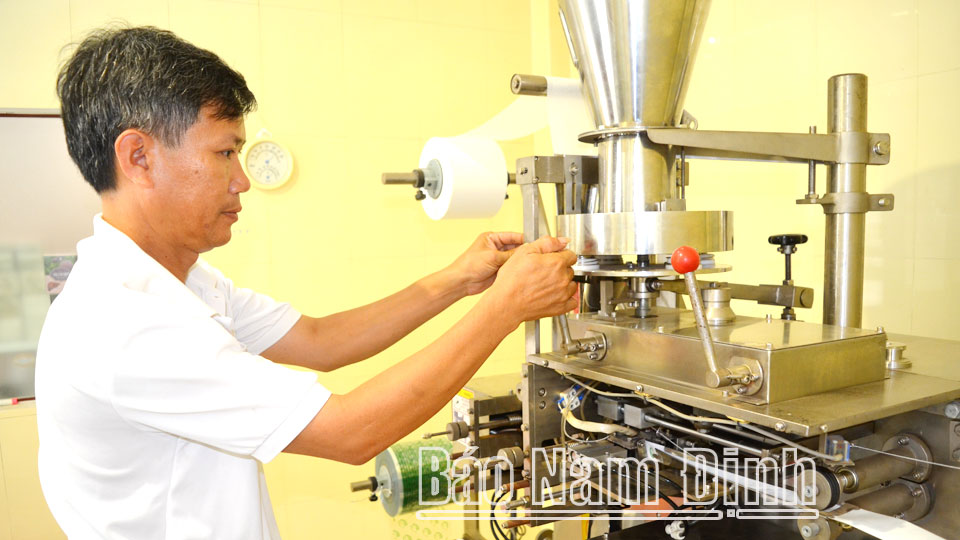 Vận hành máy đóng túi trà tự động khép kín tại Công ty Cổ phần Dược liệu Hải Hậu ở xã Hải Phương.