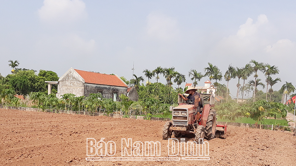 Nông dân xã Trực Hùng (Trực Ninh) cơ giới hóa khâu làm đất, phục vụ sản xuất nông sản hàng hóa.