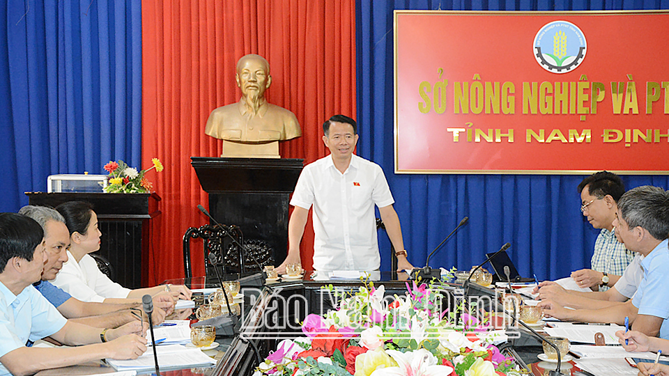 Đồng chí Nguyễn Hải Dũng, TUV, Phó Trưởng đoàn chuyên trách Đoàn đại biểu Quốc hội của tỉnh phát biểu tại buổi giám sát.