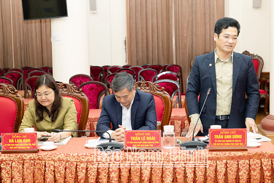 Đồng chí Trần Anh Dũng, Ủy viên Ban TVTU, Phó Chủ tịch Thường trực UBND tỉnh phát biểu tại buổi làm việc.
