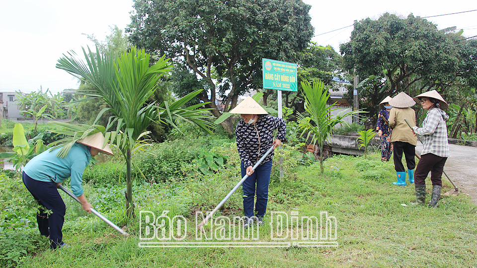 Tuyến đường cây do hội viên nông dân xã Nam Vân (thành phố Nam Định) đảm nhận trồng và chăm sóc.