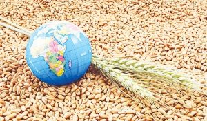 “Chìa khóa” cho an ninh lương thực bền vững