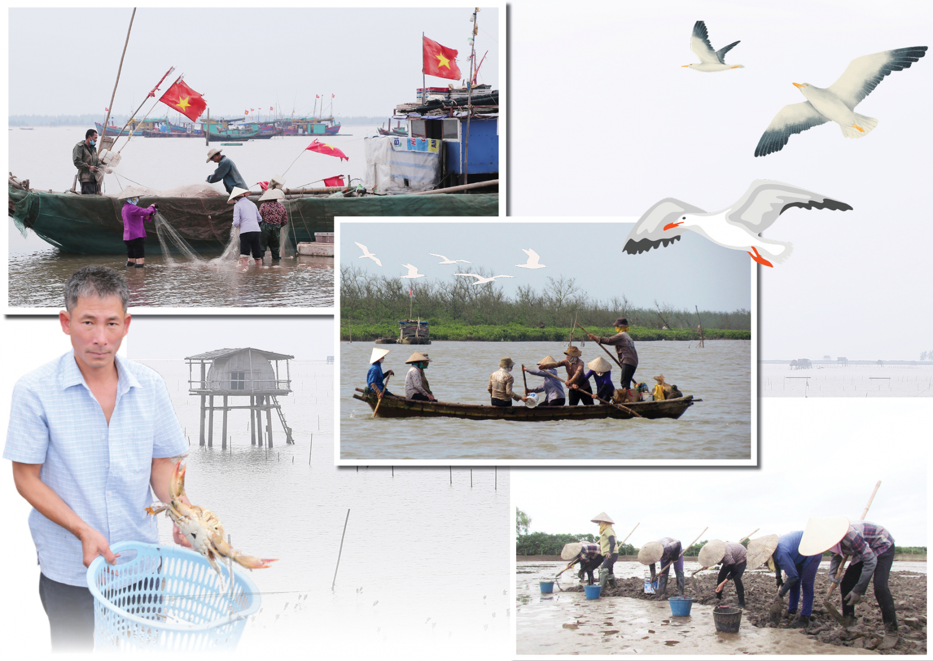 Người dân khai thác thủy hải sản trong Vườn Quốc gia Xuân Thủy.

