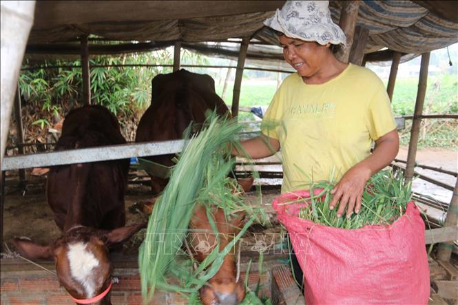 Trà Vinh: Hơn 73 tỷ đồng thực hiện giảm nghèo bền vững