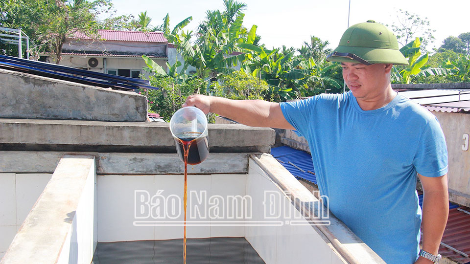 Kiểm tra chất lượng nước mắm truyền thống sản xuất tại cơ sở Tân Phú, 
thị trấn 
Thịnh Long 
(Hải Hậu).