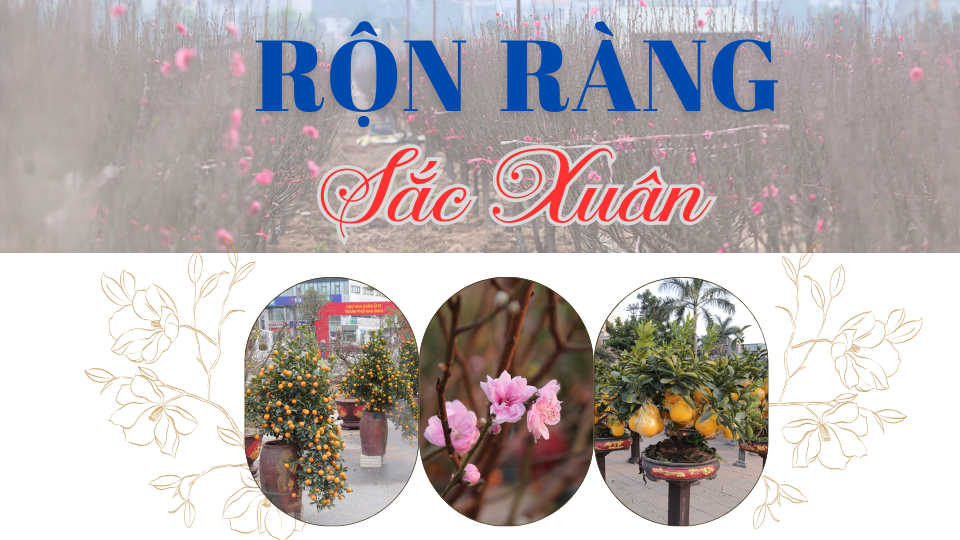 Rộn ràng sắc Xuân